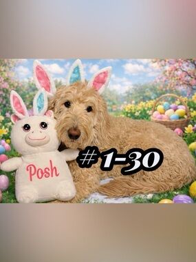 Happy Easter Pop-up Unlisted item-as described in live show. I hope you love it💖